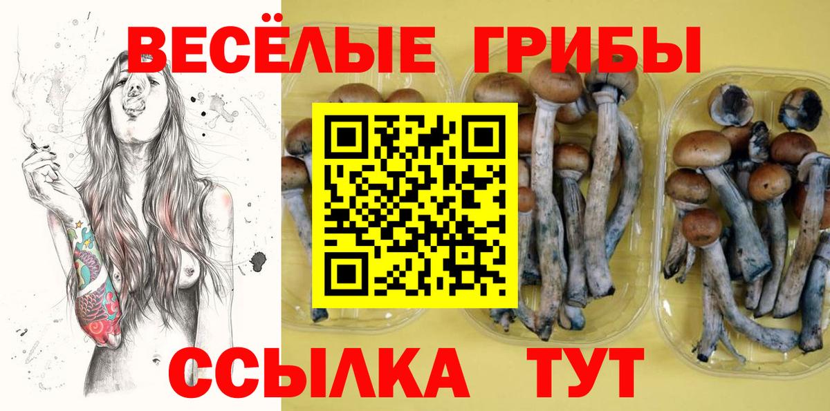 Галлюциногенные грибы GOLDEN TEACHER Чусовой