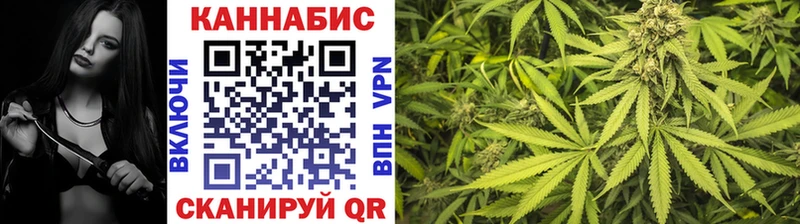 Бошки марихуана THC 21%  где купить наркотик  блэк спрут маркетплейс  Чусовой 